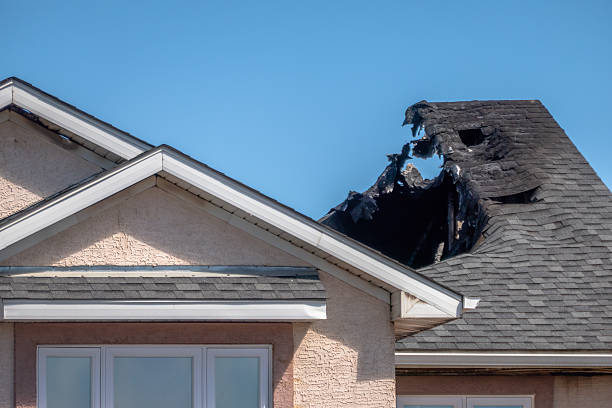 Top rated local Odor Removal specialists in Wilson, PA